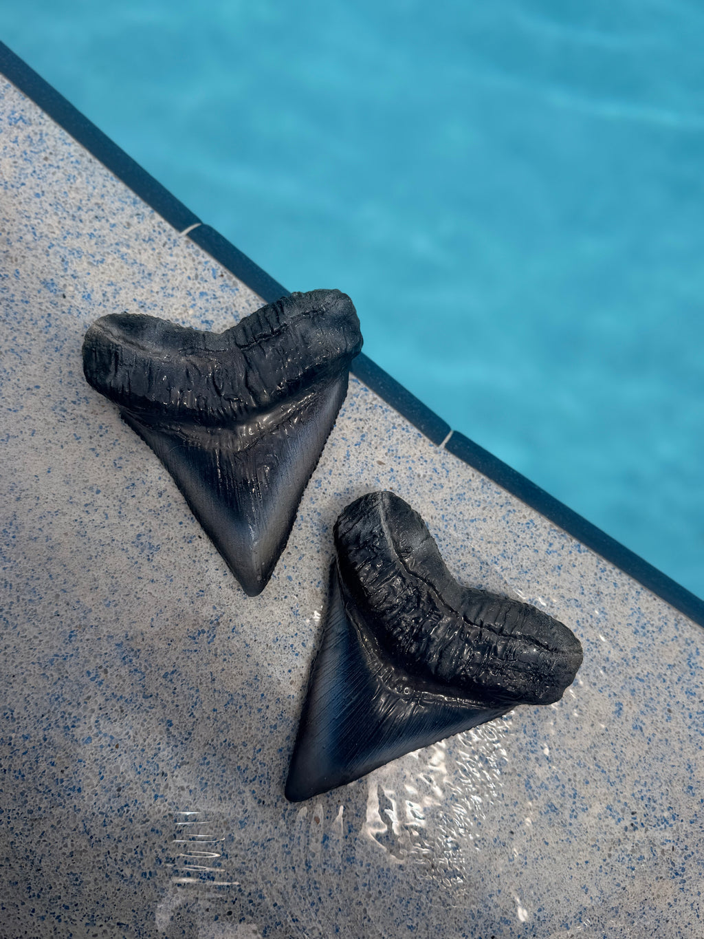 Custom Shark Tooth Dive Weight | Silicone Freediving & Mermaid Weight |Sold Individually