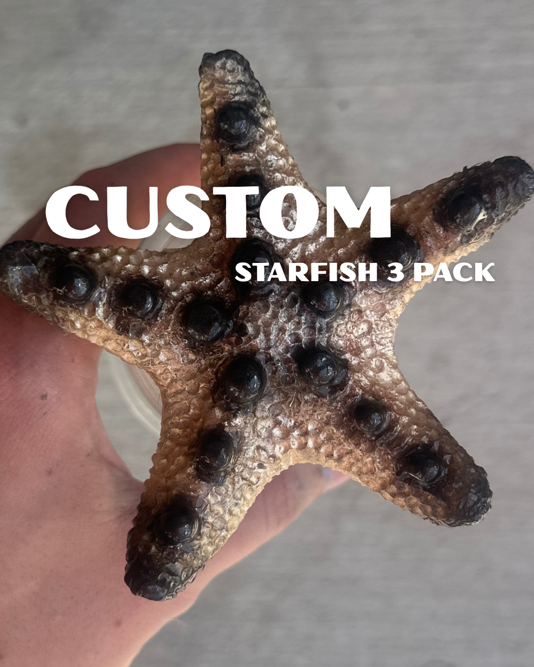 Custom Silicone Starfish Dive Toys – Set of 3 | Mermaid Tail Match, Pool Props & Underwater Party Favors