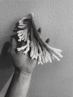 Custom Shell Top Slots