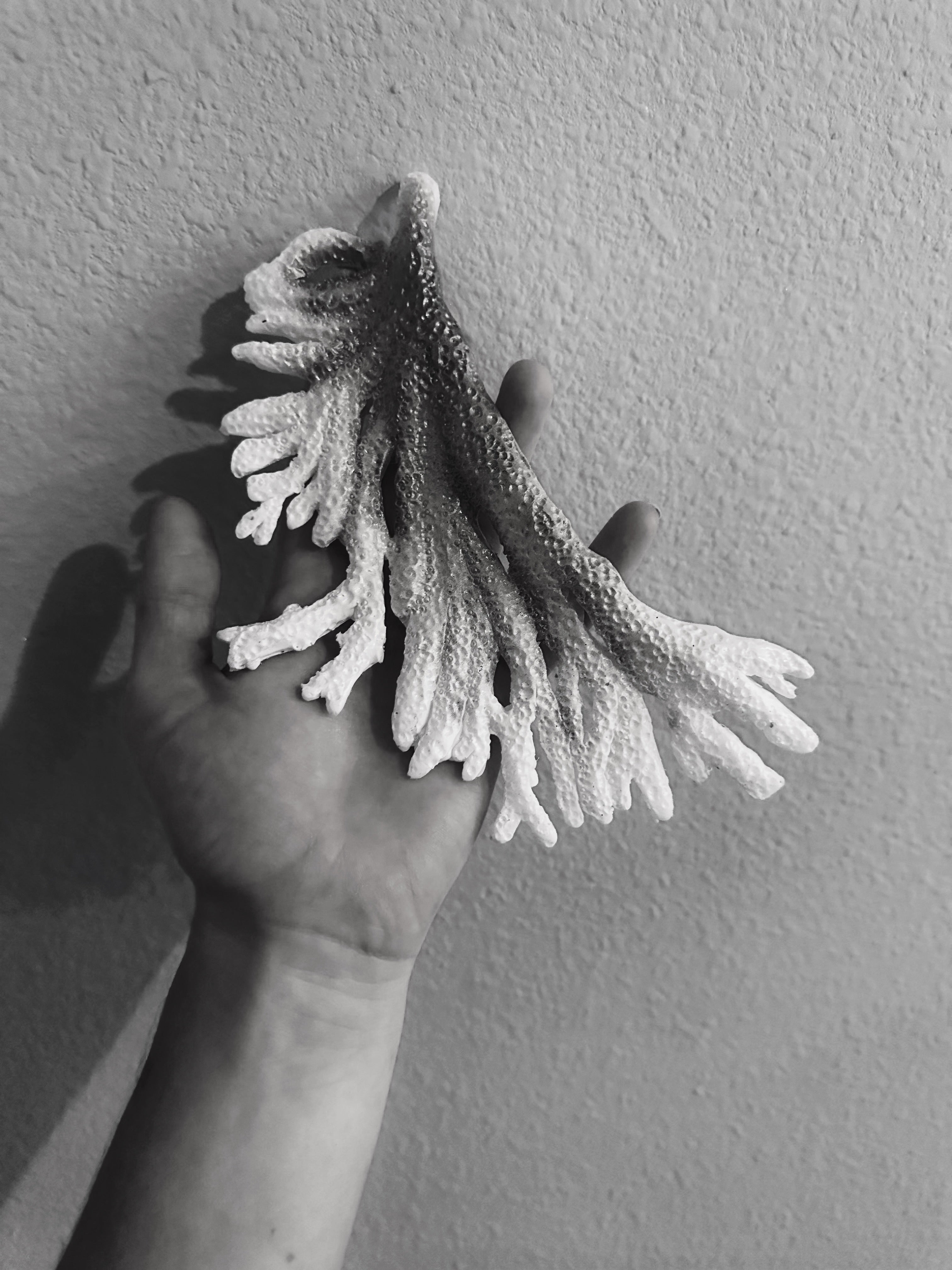 Custom Shell Top Slots