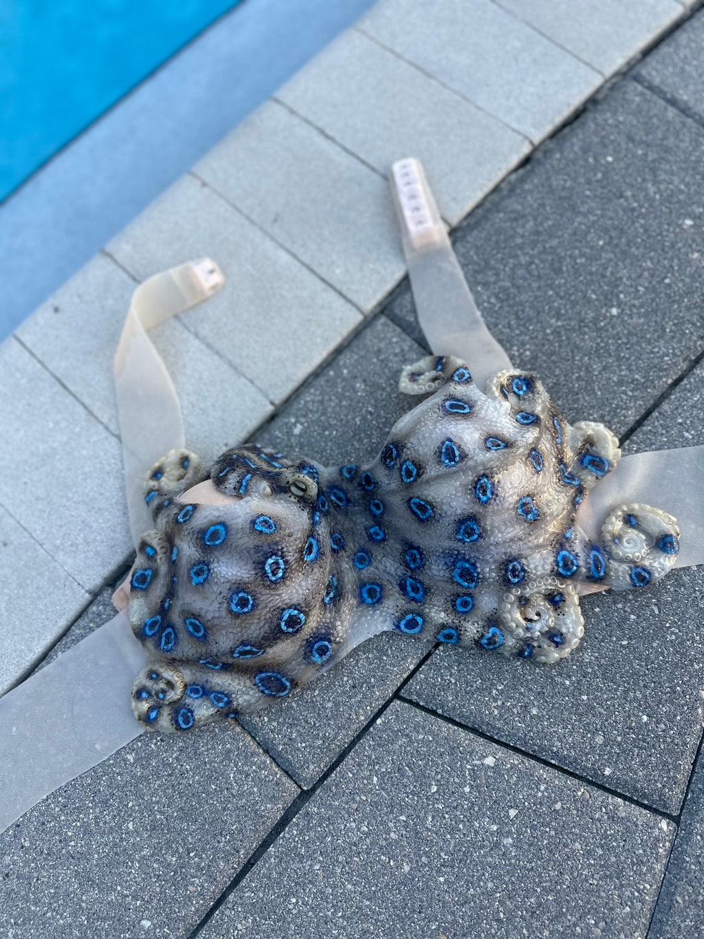 Pre-Made Blue-Ringed Octopus Silicone Mermaid Top – Adjustable Band for C Cup Sizes