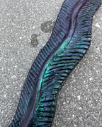 Seaweed Bracelet Wrap - Custom/Pre-made