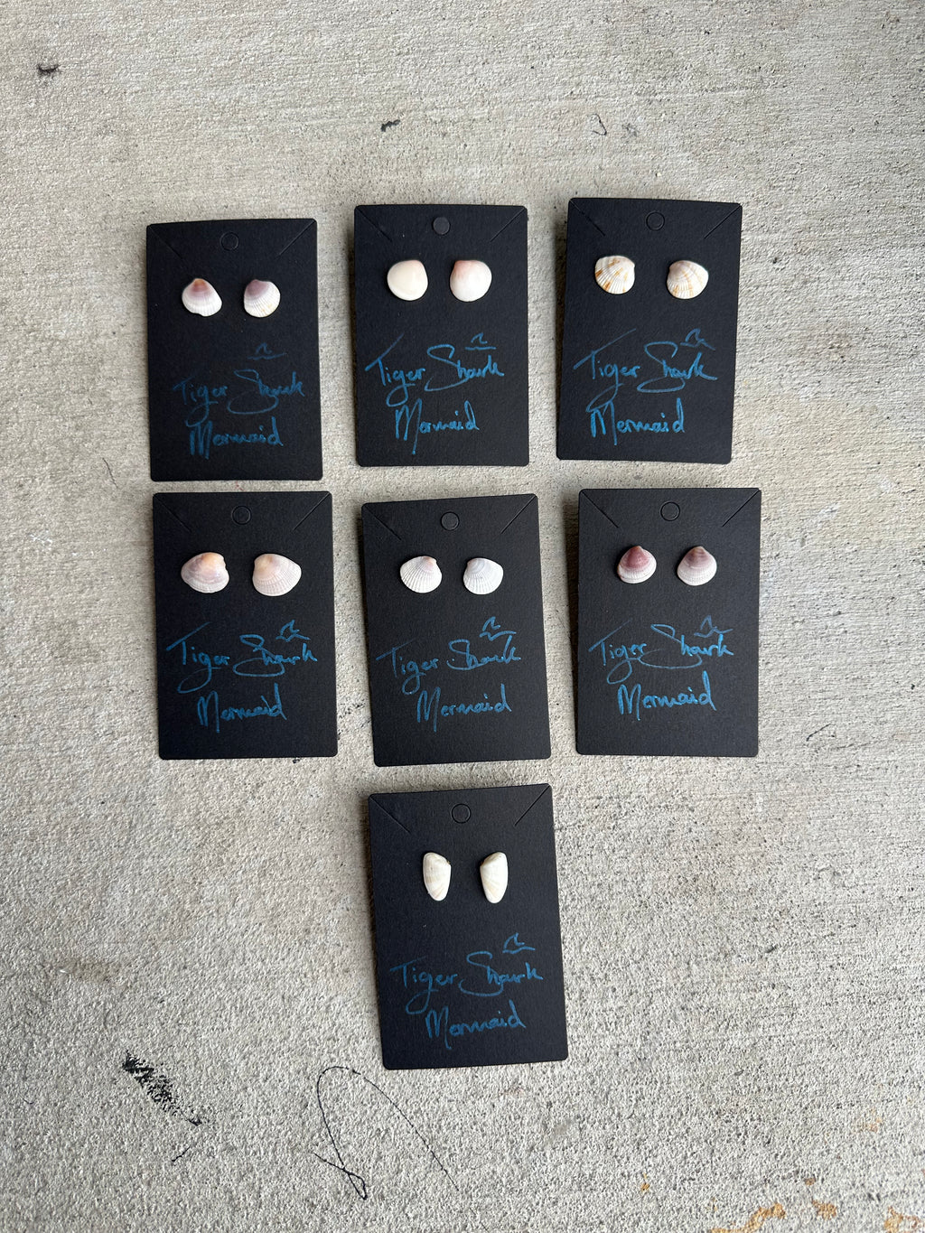 Real Sea Shell Stud Earrings – Handmade from Matching Shells Collected on Sanibel Island, Florida – Stainless Steel or Sterling Silver Posts