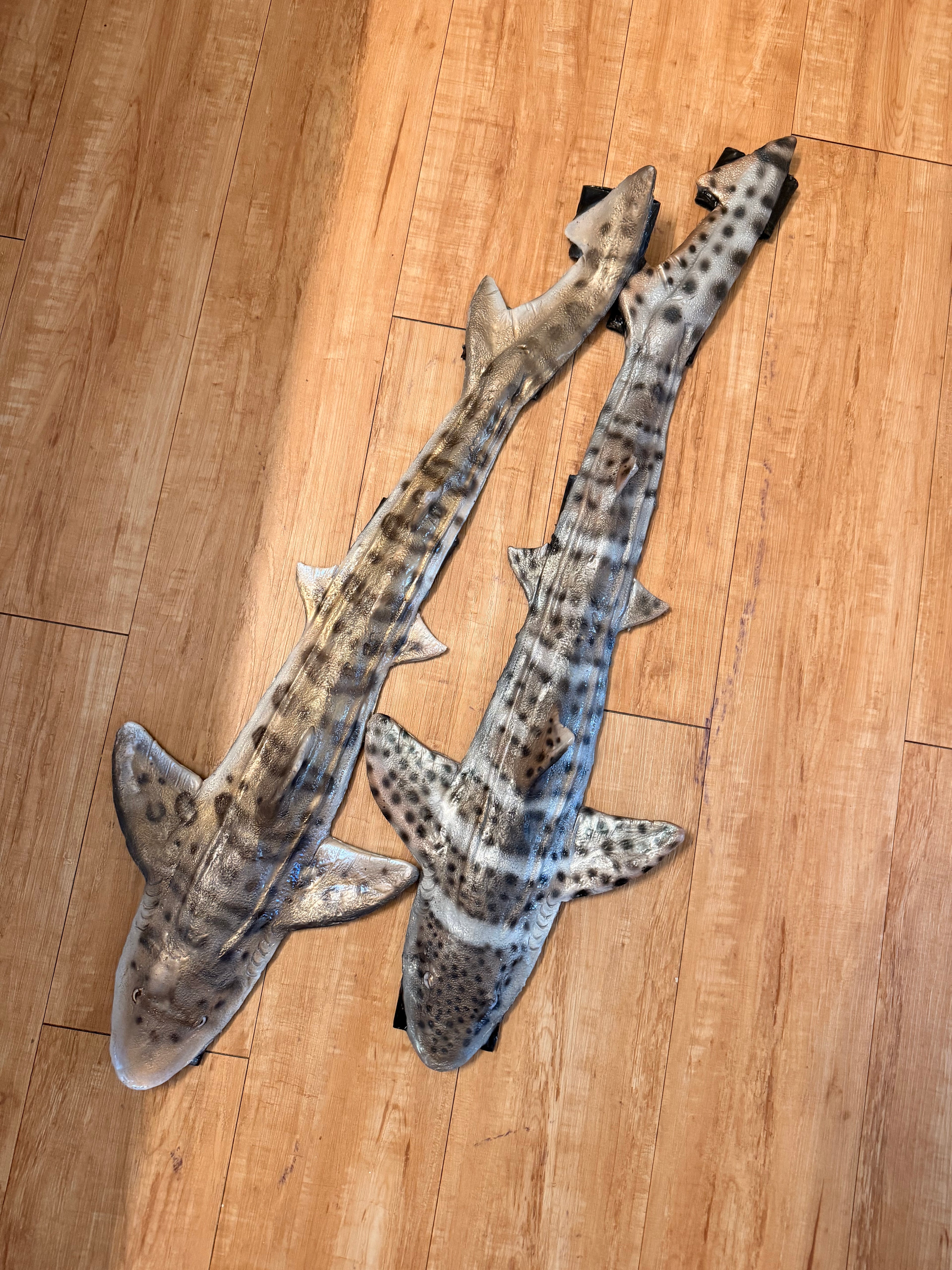 Pre-made Shark Weight belts