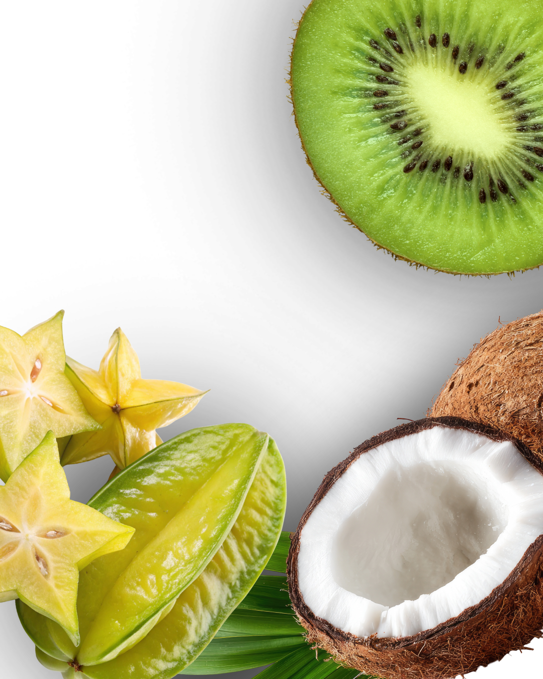 SANDALWOOD COAST — 7oz Apricot Coconut Wax