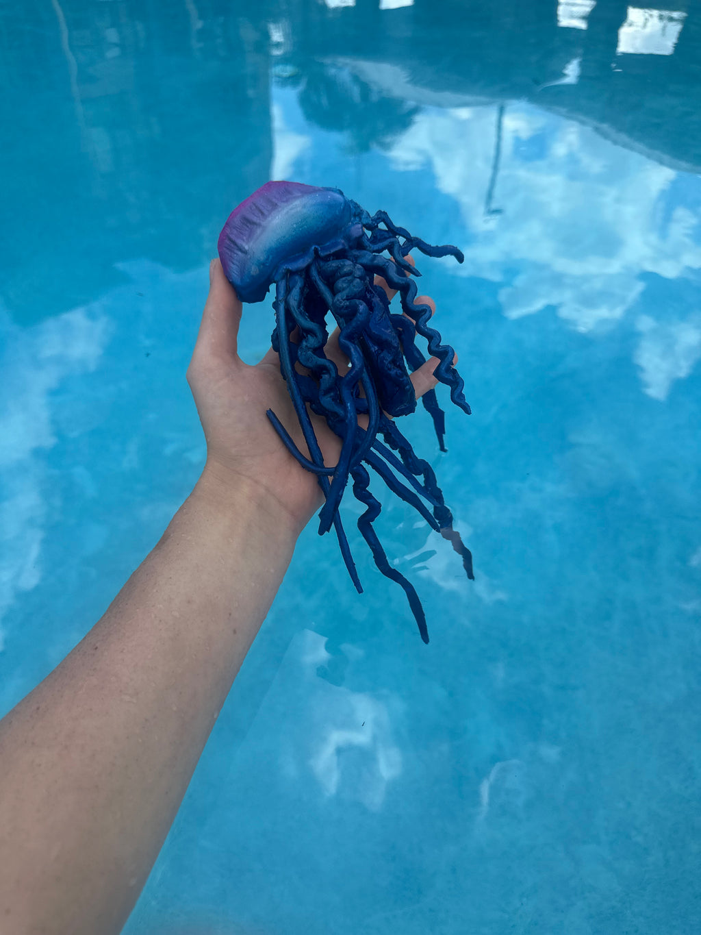 Man-o’-War Jellyfish Floating Arm Band