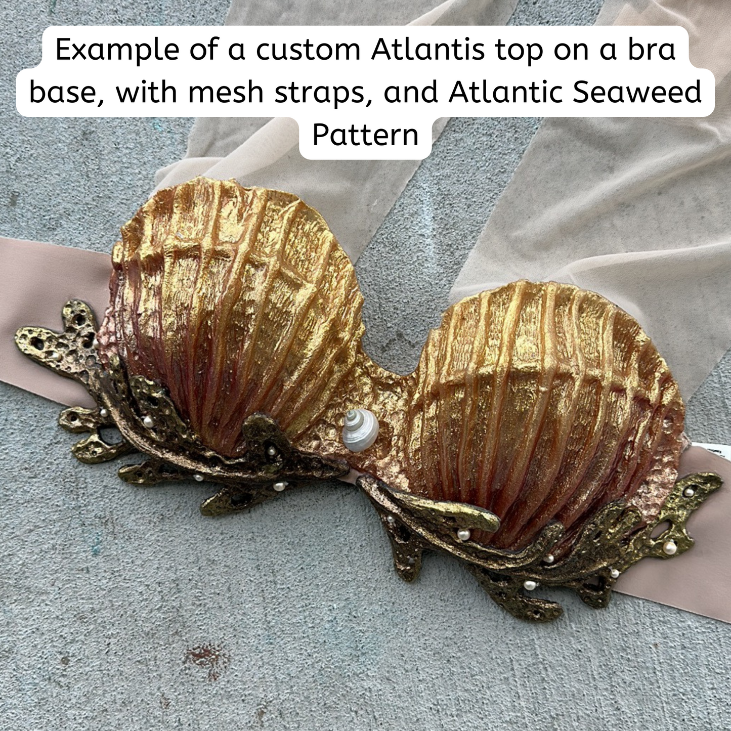 Atlantis Shell Custom Top