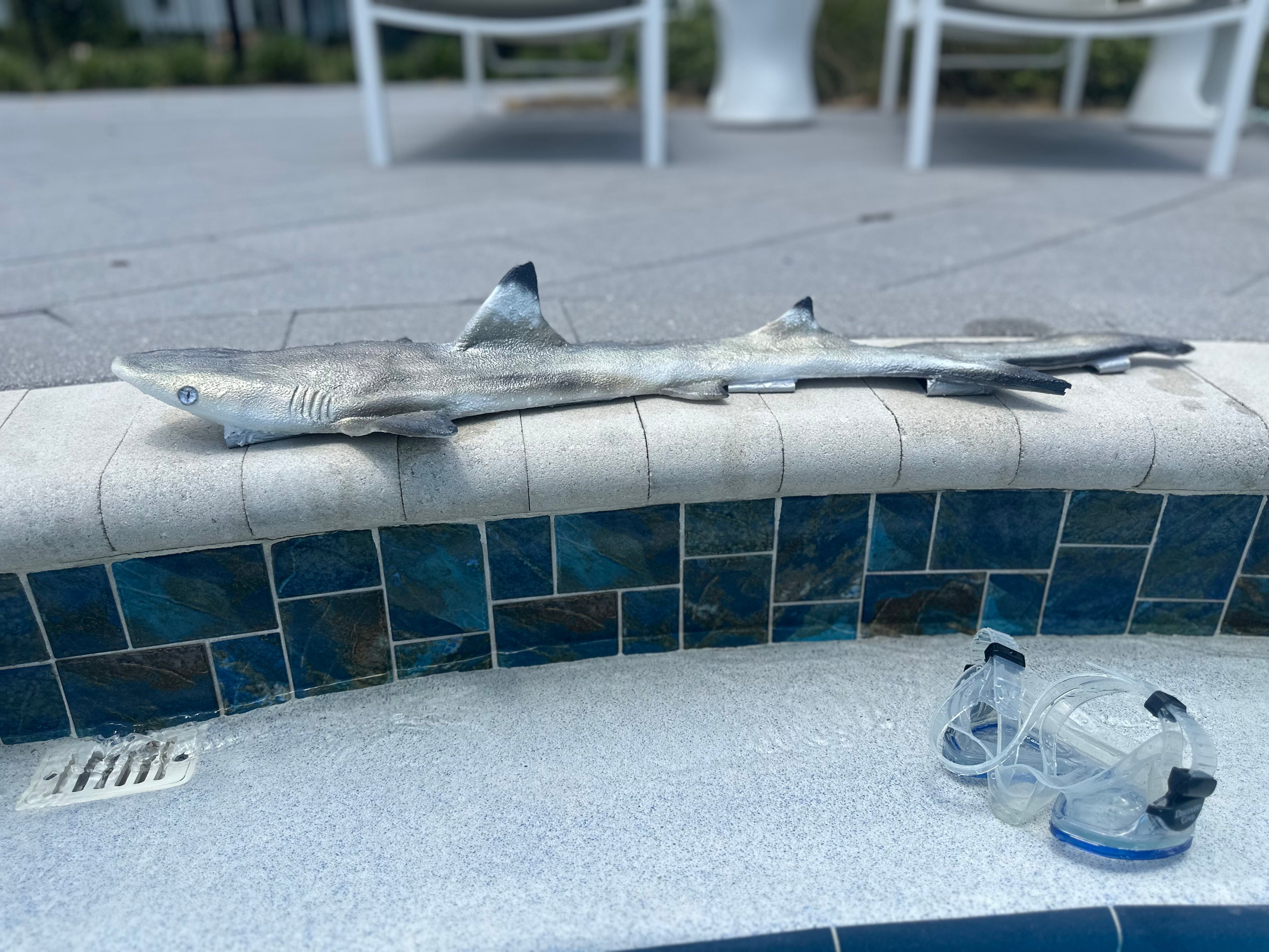 Custom Blacktip Reef Shark Shape Diving Weight Belt (Fully Customizable)