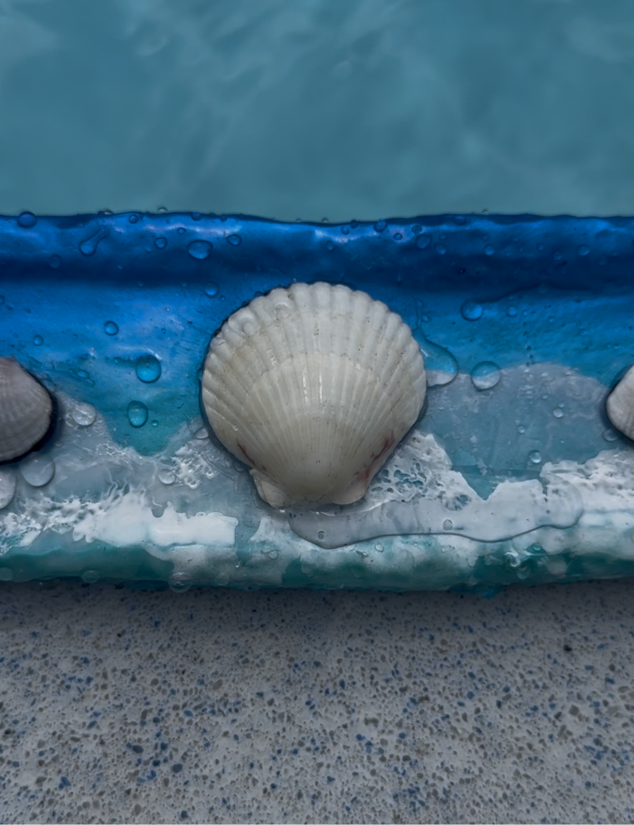 Pre-Made Medium 3lb Real SeaShell Weight Belt