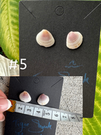 Real Sea Shell Stud Earrings – Handmade from Matching Shells Collected on Sanibel Island, Florida – Stainless Steel or Sterling Silver Posts