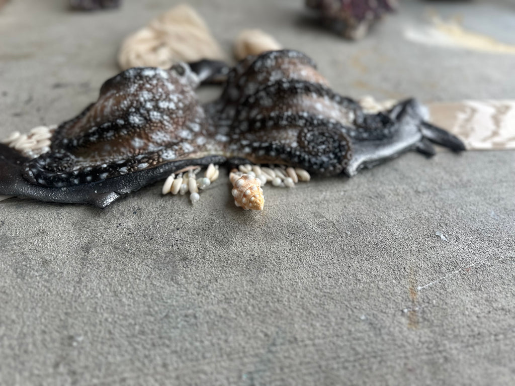 Elite Octopus Top /Thresher Shark Combo— Custom Slot Cup Sizes B,C,D,DD, DDD/F, DDDD/G, & DDDDD/H