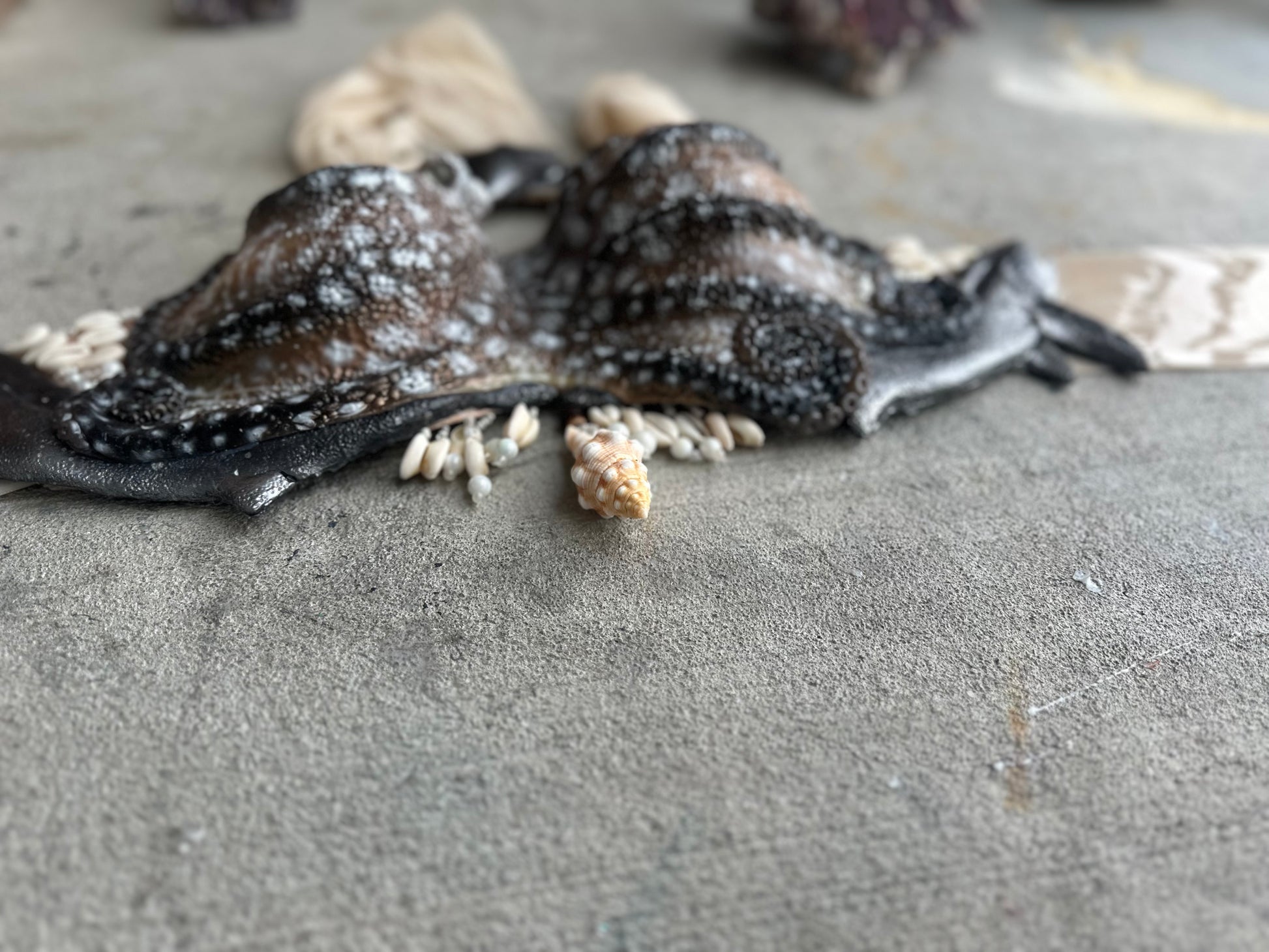 Elite Octopus Top /Thresher Shark Combo— Custom Slot Cup Sizes B,C,D,DD, DDD/F, DDDD/G, & DDDDD/H