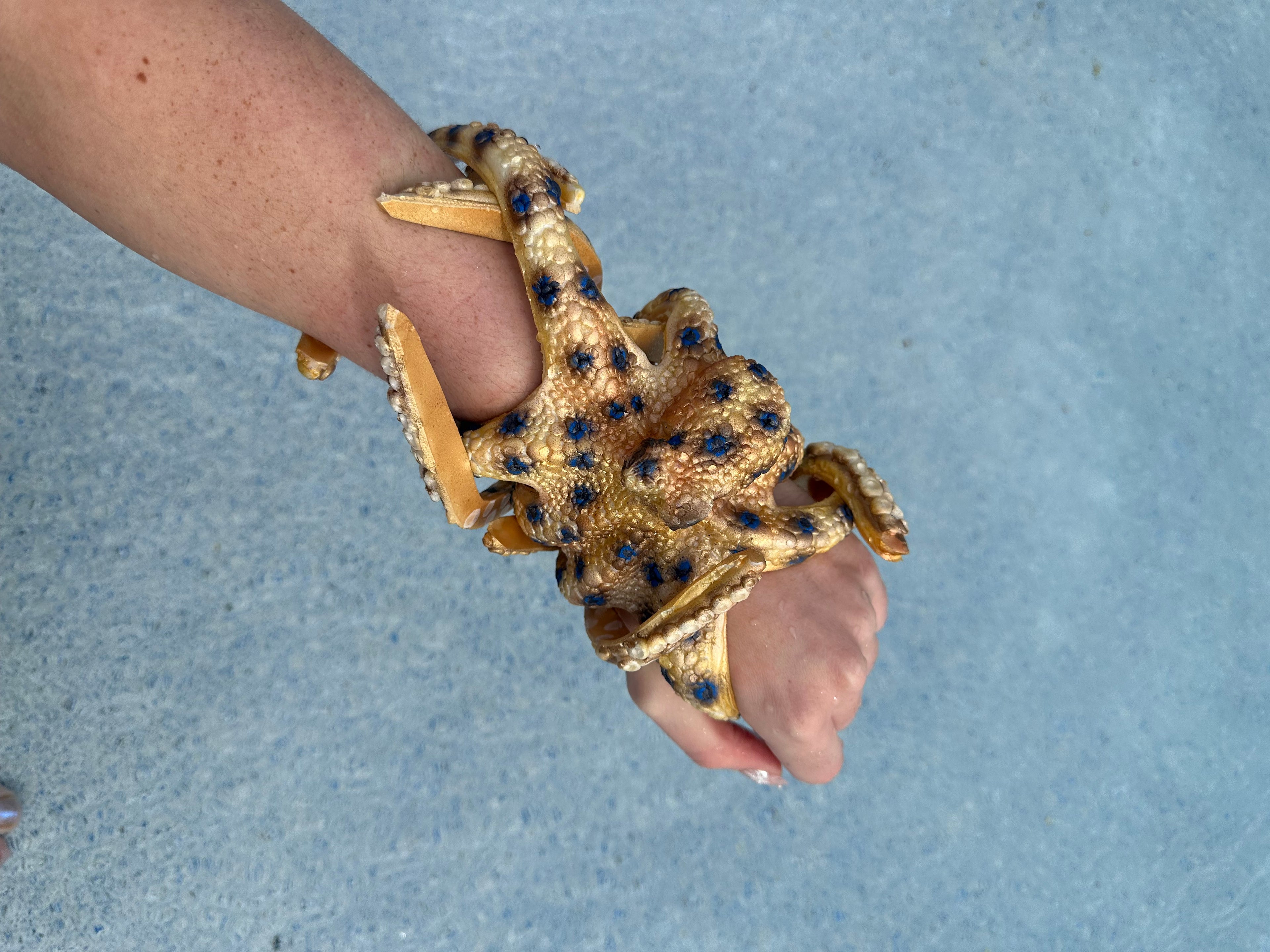 Custom Octopus Wrap/Dive toy Slot