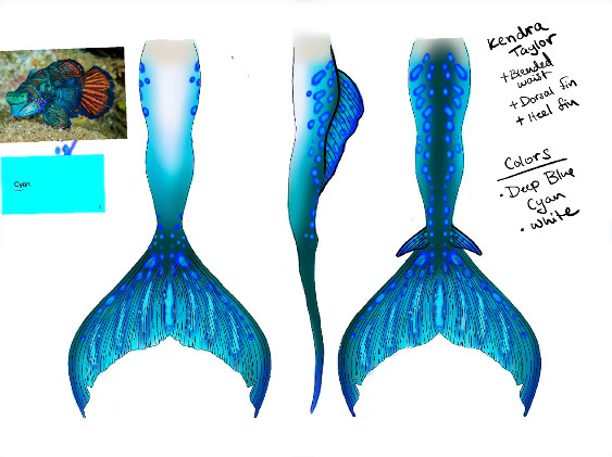 Custom Mermaid Tail Design