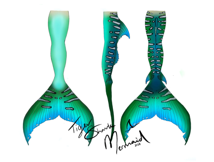 Custom Mermaid Tail Design