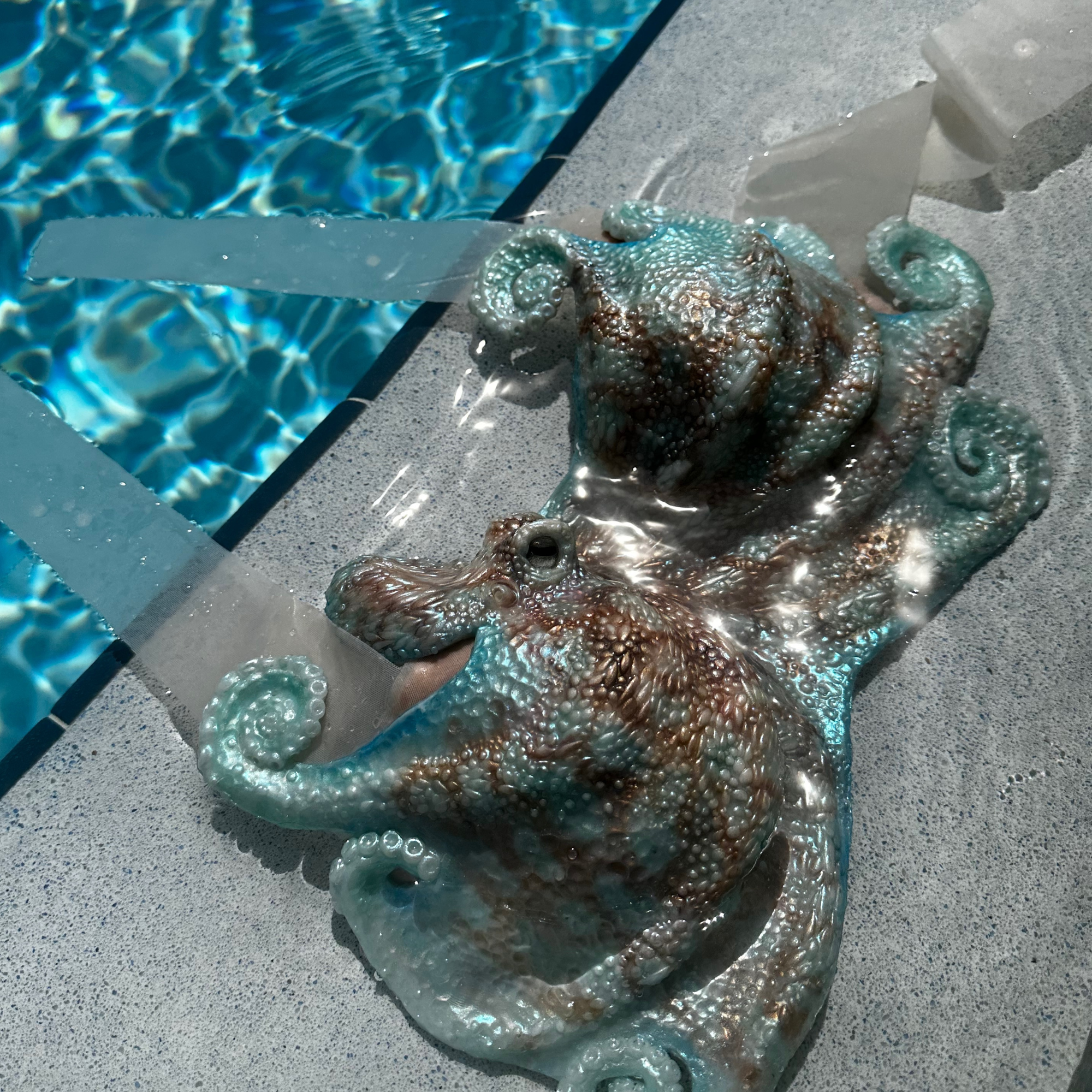 Caribbean Reef Octo Top, Cup Sizes B,C,D,DD, DDD/F, DDDD/G, & DDDDD/H