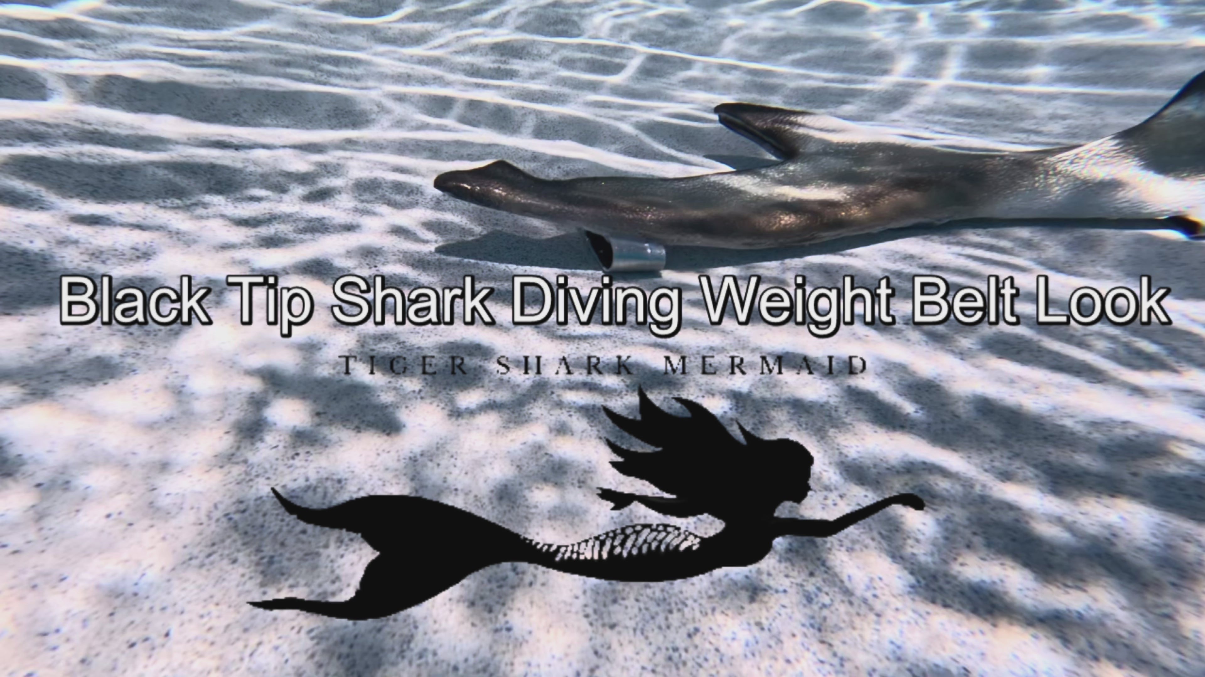 Custom Blacktip Reef Shark Shape Diving Weight Belt (Fully Customizable)