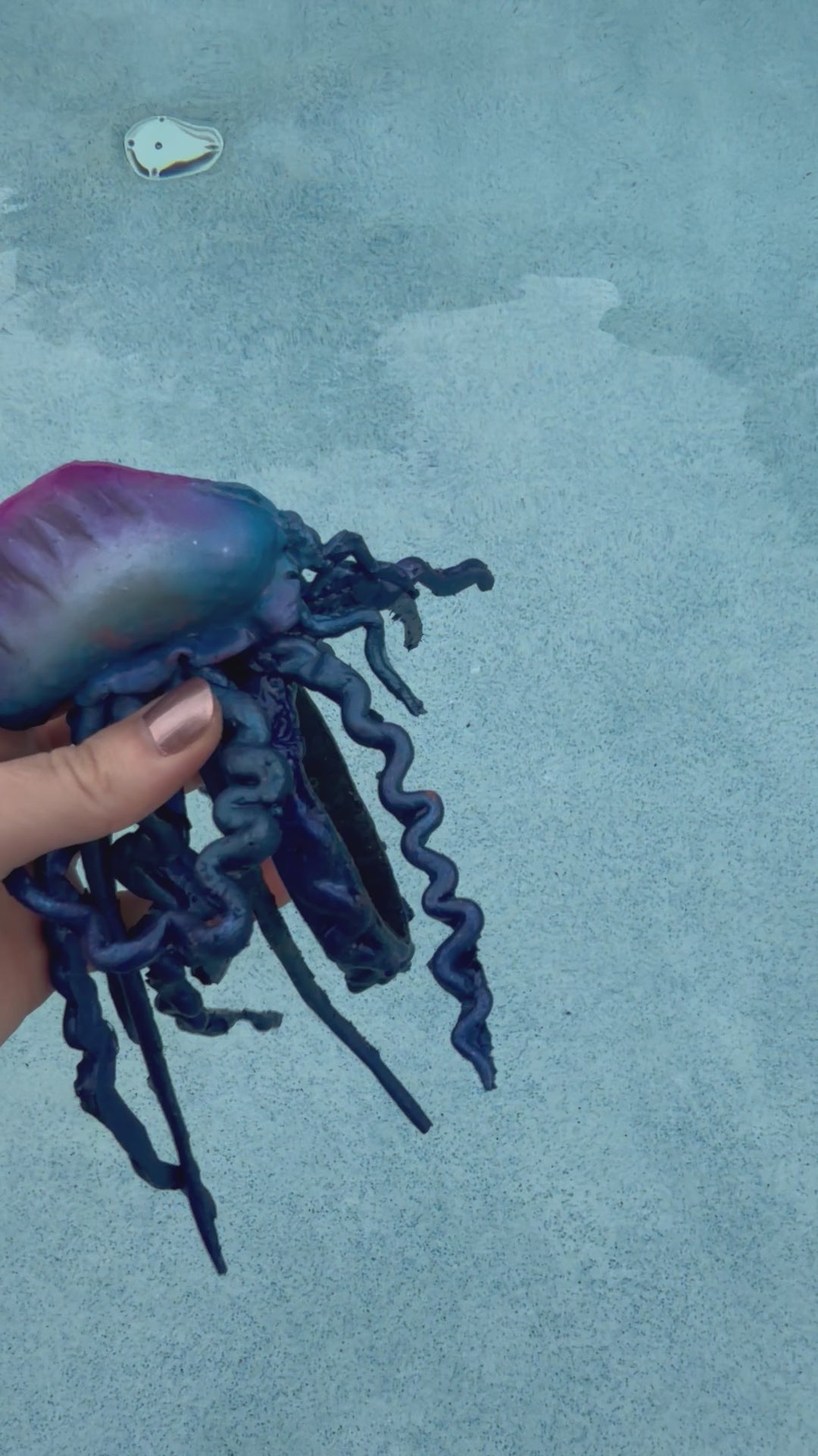 Pre-Made Man-O-war Accessory (yes it floats too)